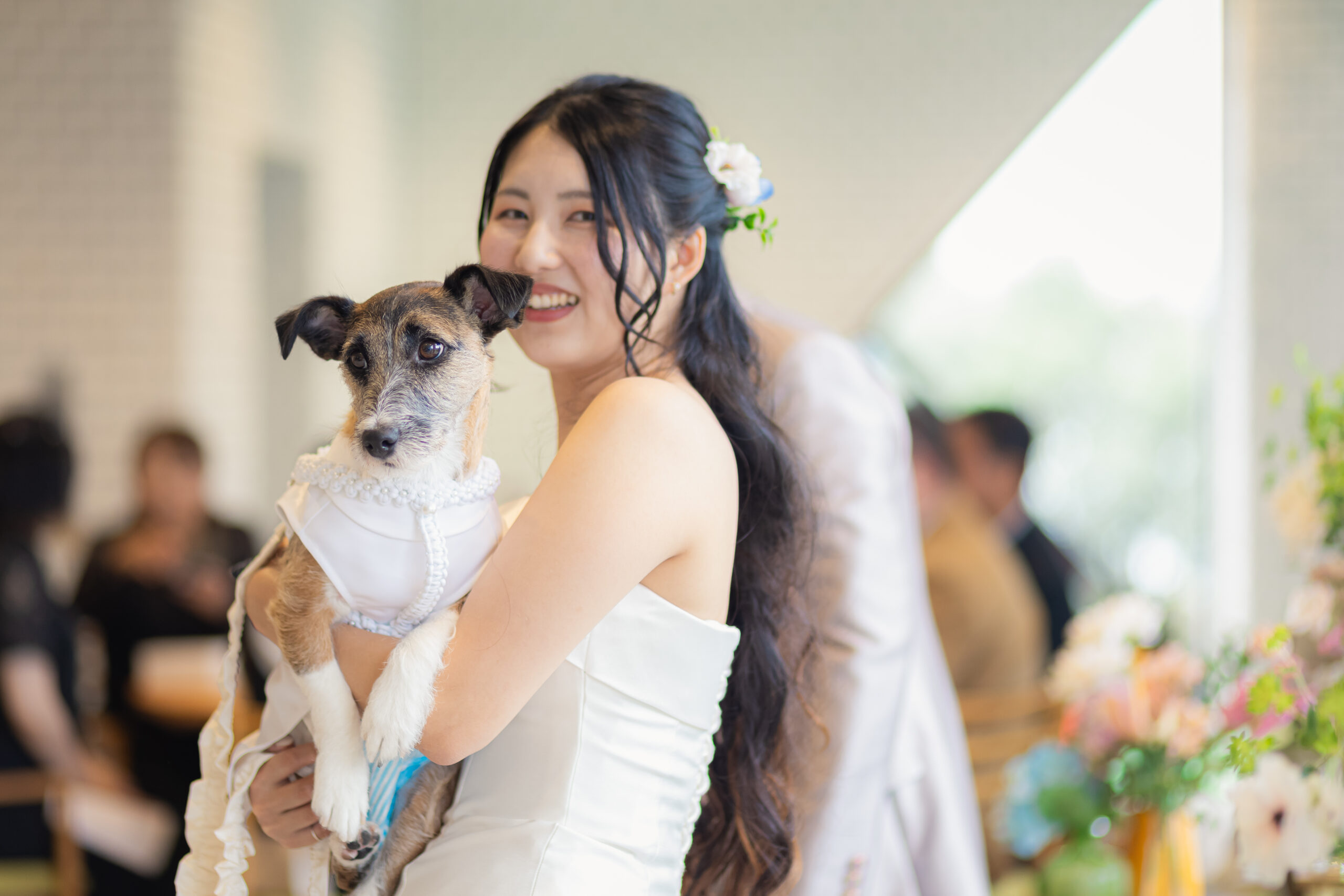 <?php the_title(); ?>