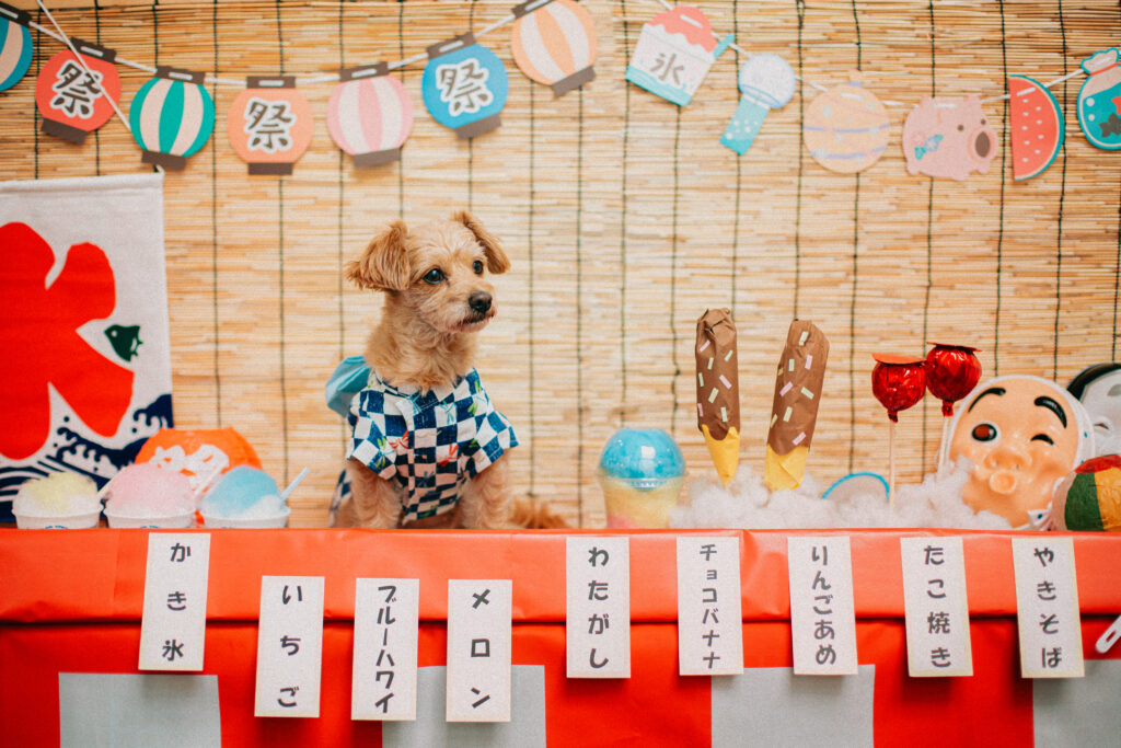 夏祭り【縁日 with Dog】