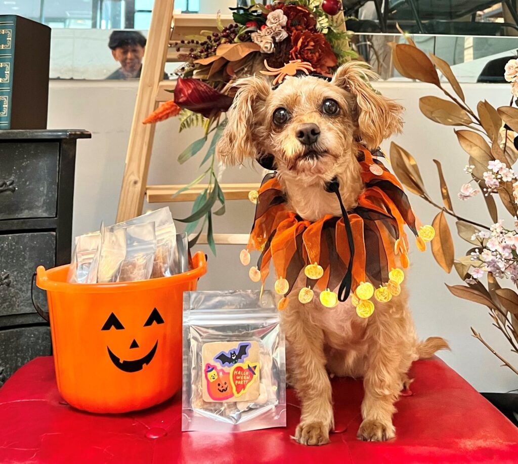 ハロウィンイベント☆