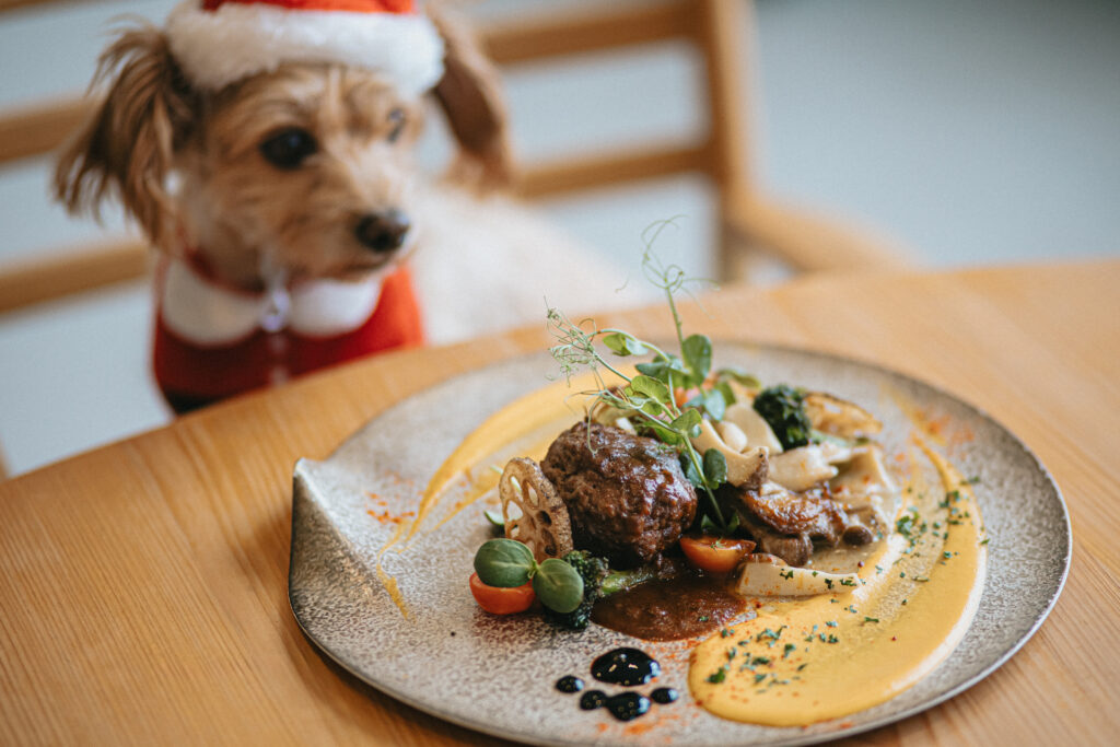 クリスマス限定ランチ☆
